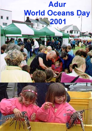 Photograph by Natalie Brahma-Pearl (top) and Ray Hamblett (bottom)